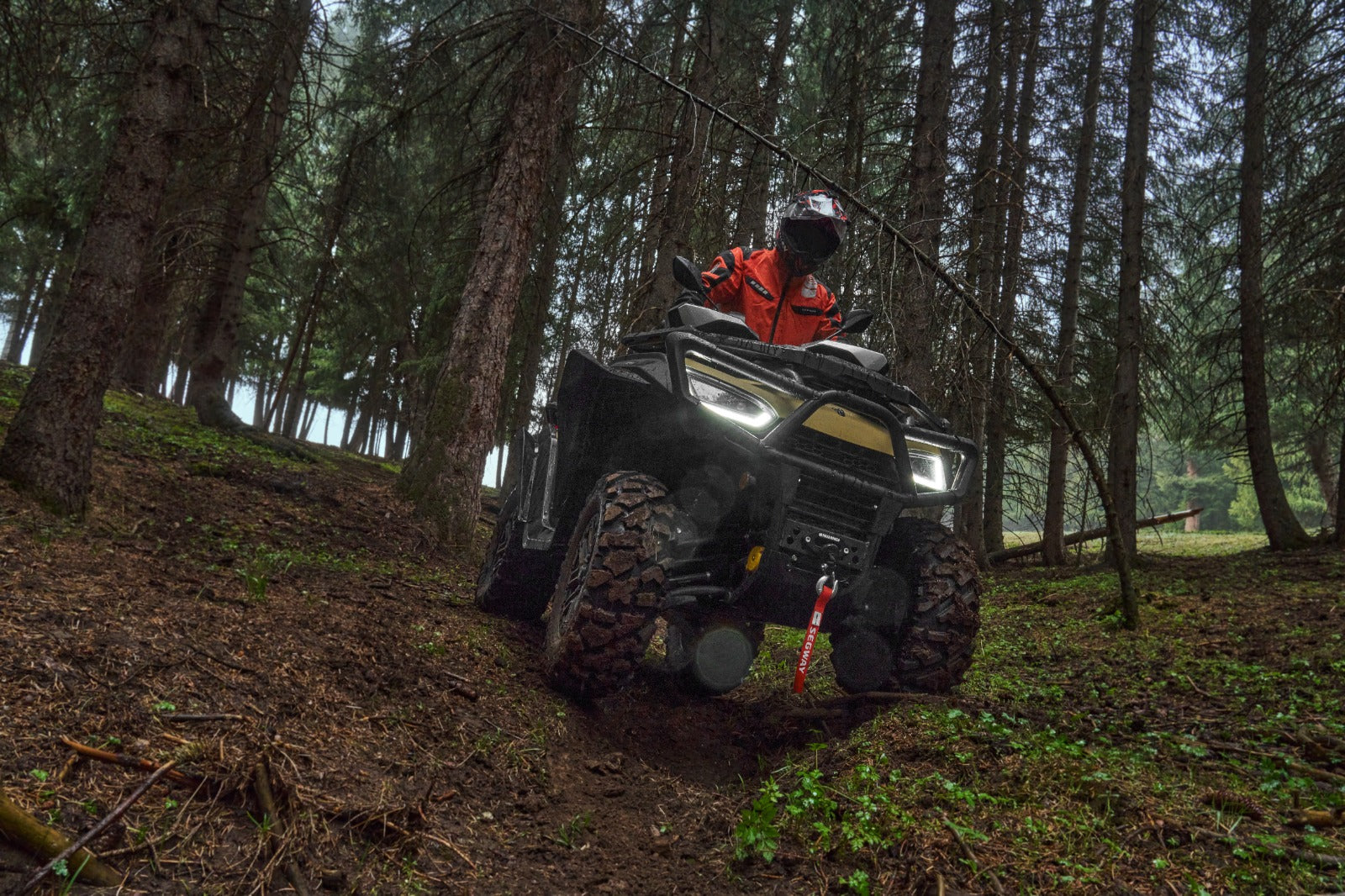 Trekvermogen en lier